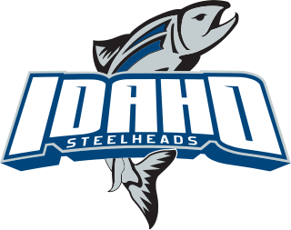 <span class="mw-page-title-main">Idaho Steelheads</span> Professional minor league ice hockey team in Boise, Idaho