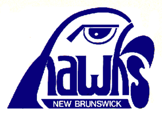 <span class="mw-page-title-main">New Brunswick Hawks</span> Defunct American Hockey League team