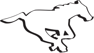 <span class="mw-page-title-main">Calgary Stampeders</span> Professional Canadian football team