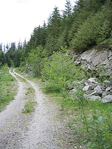 A British Columbia Ministry of Forests forest service road in steep terrain at the Lower Seymour Conservation Reserve near North Vancouver, British Columbia, Canada Seymour Logging Road.JPG