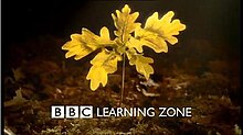 BBC Learning Zone.jpg