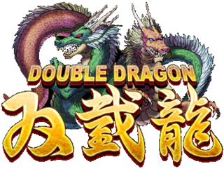 <i>Double Dragon</i> Video game series