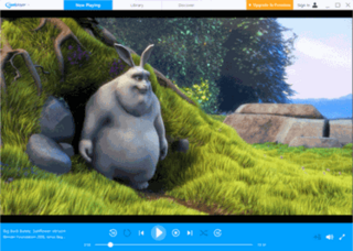 RealPlayer media player