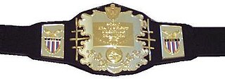 <span class="mw-page-title-main">AWA World Heavyweight Championship</span> Professional wrestling championship