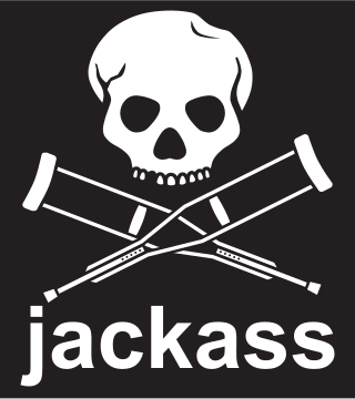 <i>Jackass</i> (franchise) American reality comedy series