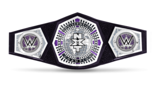 <span class="mw-page-title-main">NXT Cruiserweight Championship</span> Former WWE professional wrestling championship