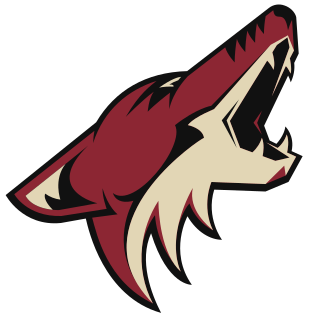 Arizona Coyotes National Hockey League team in Glendale, Arizona