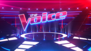 <i>The Voice</i> (American TV series) American talent competition series