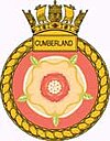 Ship's badge