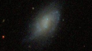 <span class="mw-page-title-main">UGC 4904</span> Galaxy in the constellation Lynx