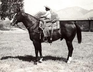 <span class="mw-page-title-main">Lightning Bar</span> Quarter Horse stallion