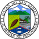 San Fabian Pangasinan.png