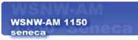 WSNW logo.png