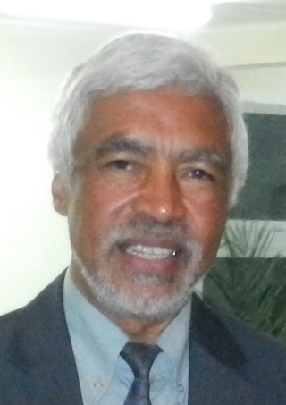 <span class="mw-page-title-main">Stephan Narison</span> Malagasy physicist