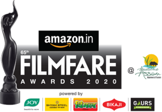 <span class="mw-page-title-main">65th Filmfare Awards</span> Indian Film Award