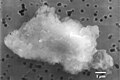 Image 51Smooth chondrite interplanetary dust particle. (from Cosmic dust)