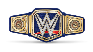 <span class="mw-page-title-main">WWE Universal Championship</span> Mens professional wrestling world championship