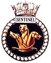 SENTINEL badge-1-.jpg