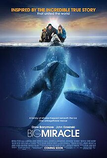 <i>Big Miracle</i> 2012 film by Ken Kwapis