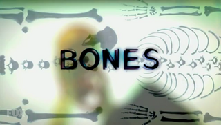 <i>Bones</i> (TV series) American crime procedural drama TV series (2005–2017)