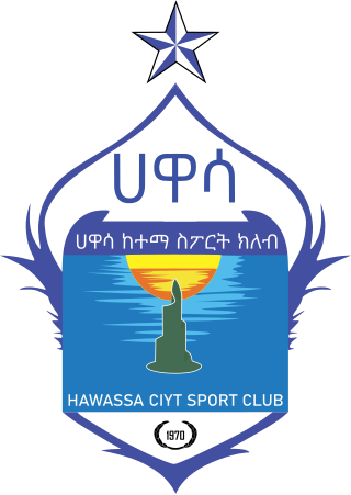 <span class="mw-page-title-main">Hawassa City S.C.</span> Ethiopian football club