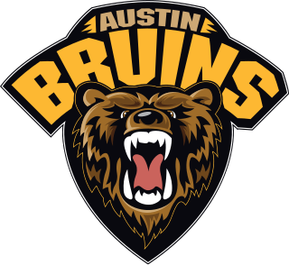 <span class="mw-page-title-main">Austin Bruins</span> Ice hockey team in Austin, Minnesota