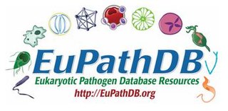 <span class="mw-page-title-main">Eukaryotic Pathogen Database</span>