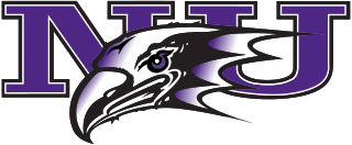 <span class="mw-page-title-main">Niagara Purple Eagles</span> Collegiate sports club in the United States