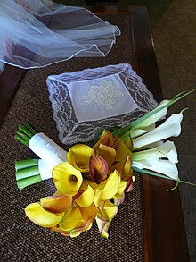 Items chosen to bring good luck to the bride. In this case, the veil was borrowed and the handkerchief was new. Something borrowed.jpg