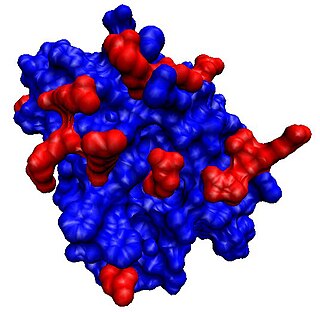 <span class="mw-page-title-main">Endostatin</span>