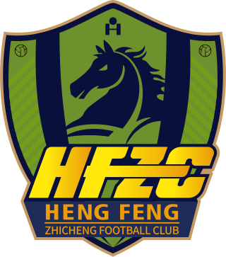 <span class="mw-page-title-main">Guizhou F.C.</span> Chinese football club