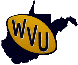 <span class="mw-page-title-main">1975 West Virginia Mountaineers football team</span> American college football season