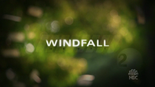 <i>Windfall</i> (TV series) American TV serial drama series (2006)