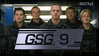 <i>GSG 9 – Ihr Einsatz ist ihr Leben</i> 2007 German TV series or program