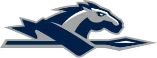 <span class="mw-page-title-main">Longwood Lancers</span> Athletics teams of Longwood University