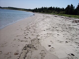 <span class="mw-page-title-main">Taylor Head Beach</span> Provincial park in Nova Scotia, Canada