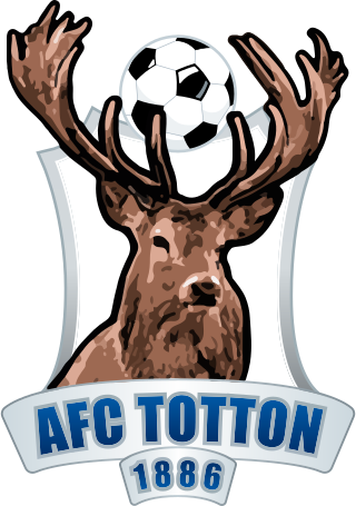 <span class="mw-page-title-main">A.F.C. Totton</span> Association football club in England