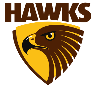 <span class="mw-page-title-main">Hawthorn Football Club</span> Australian rules football club