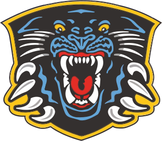 <span class="mw-page-title-main">Nottingham Panthers</span> Ice hockey club in Nottingham, England