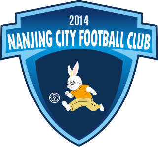 <span class="mw-page-title-main">Nanjing City F.C.</span> Chinese football club