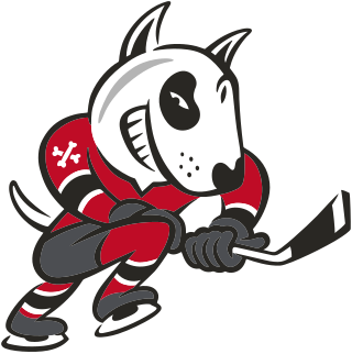 <span class="mw-page-title-main">Niagara IceDogs</span> Ontario Hockey League team in St. Catharines