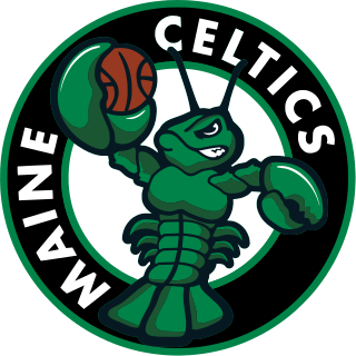 <span class="mw-page-title-main">Maine Celtics</span> American professional basketball team of the NBA G League