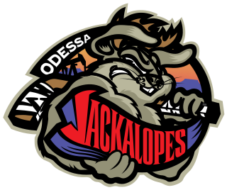 <span class="mw-page-title-main">Odessa Jackalopes</span> Ice hockey team in Odessa, Texas