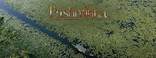 <i>Pashminna – Dhaage Mohabbat Ke</i> Indian romantic drama television series