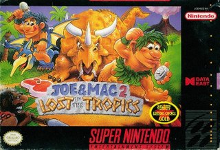 <i>Joe & Mac 2: Lost in the Tropics</i> 1994 video game