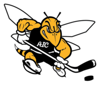 American International Yellow Jackets athletic logo