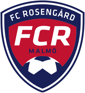 FC Rosengård 1917 Football club