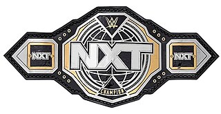 <span class="mw-page-title-main">NXT Championship</span> Mens professional wrestling championship in WWE