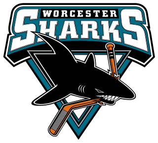 <span class="mw-page-title-main">Worcester Sharks</span> AHL ice hockey team