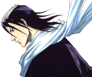 <span class="mw-page-title-main">Byakuya Kuchiki</span> Fictional character from Bleach